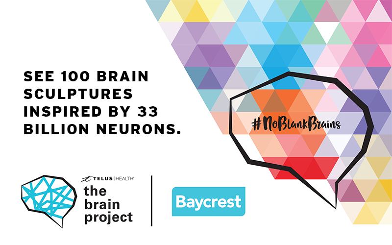 The Brain Project—